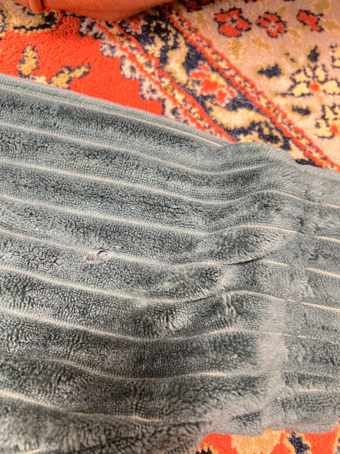 아디다스 벨벳 아노락 맨투맨 그린 L 상품이미지3