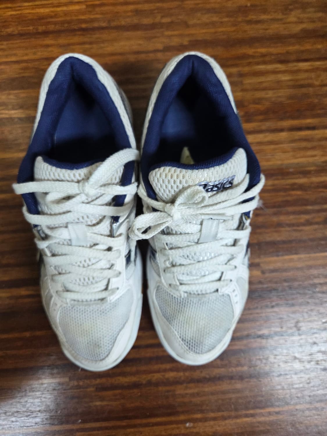 아식스 로테리브레 240 상품이미지3