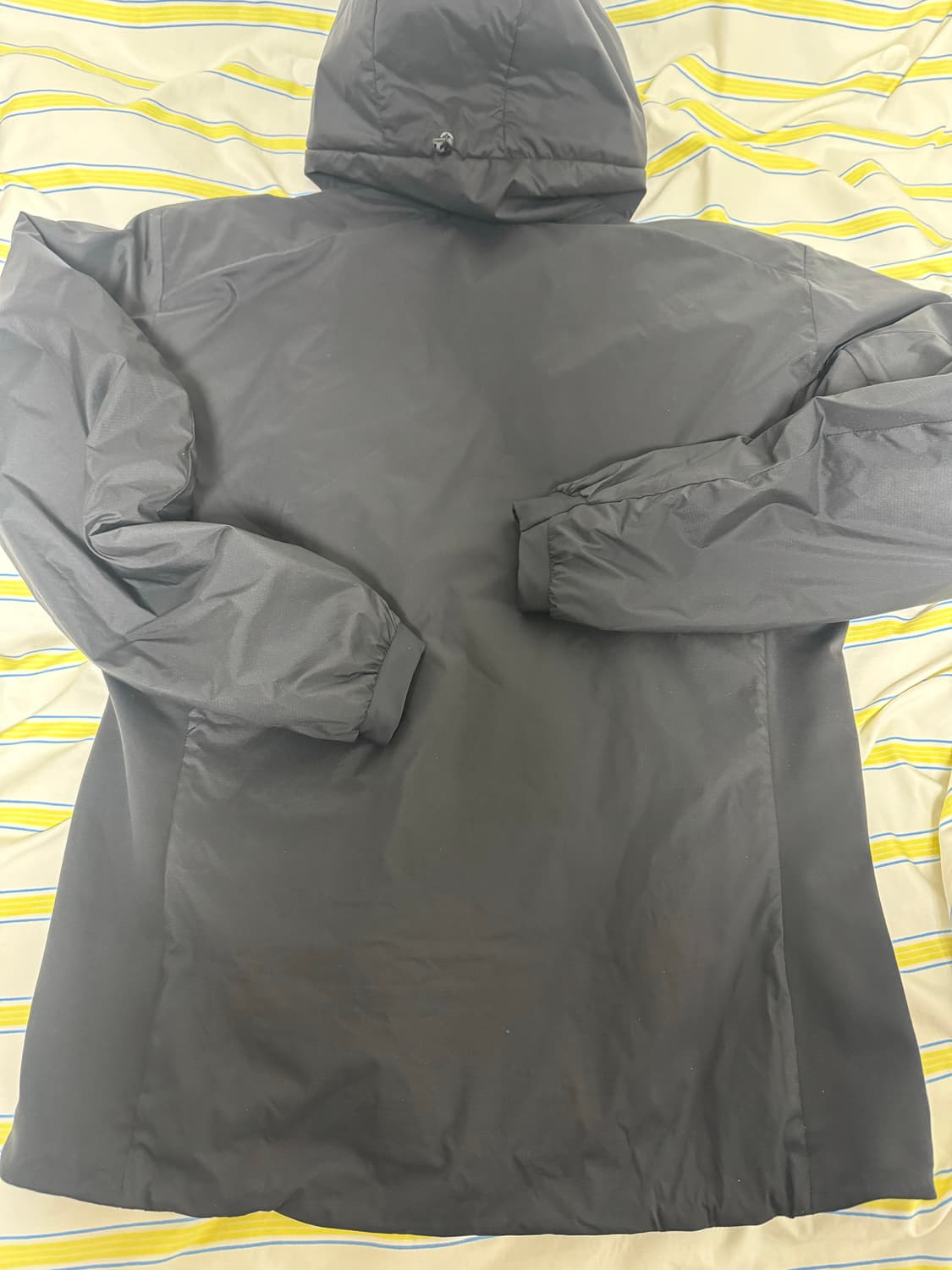 아크테릭스 아톰 후디 L 상품이미지3