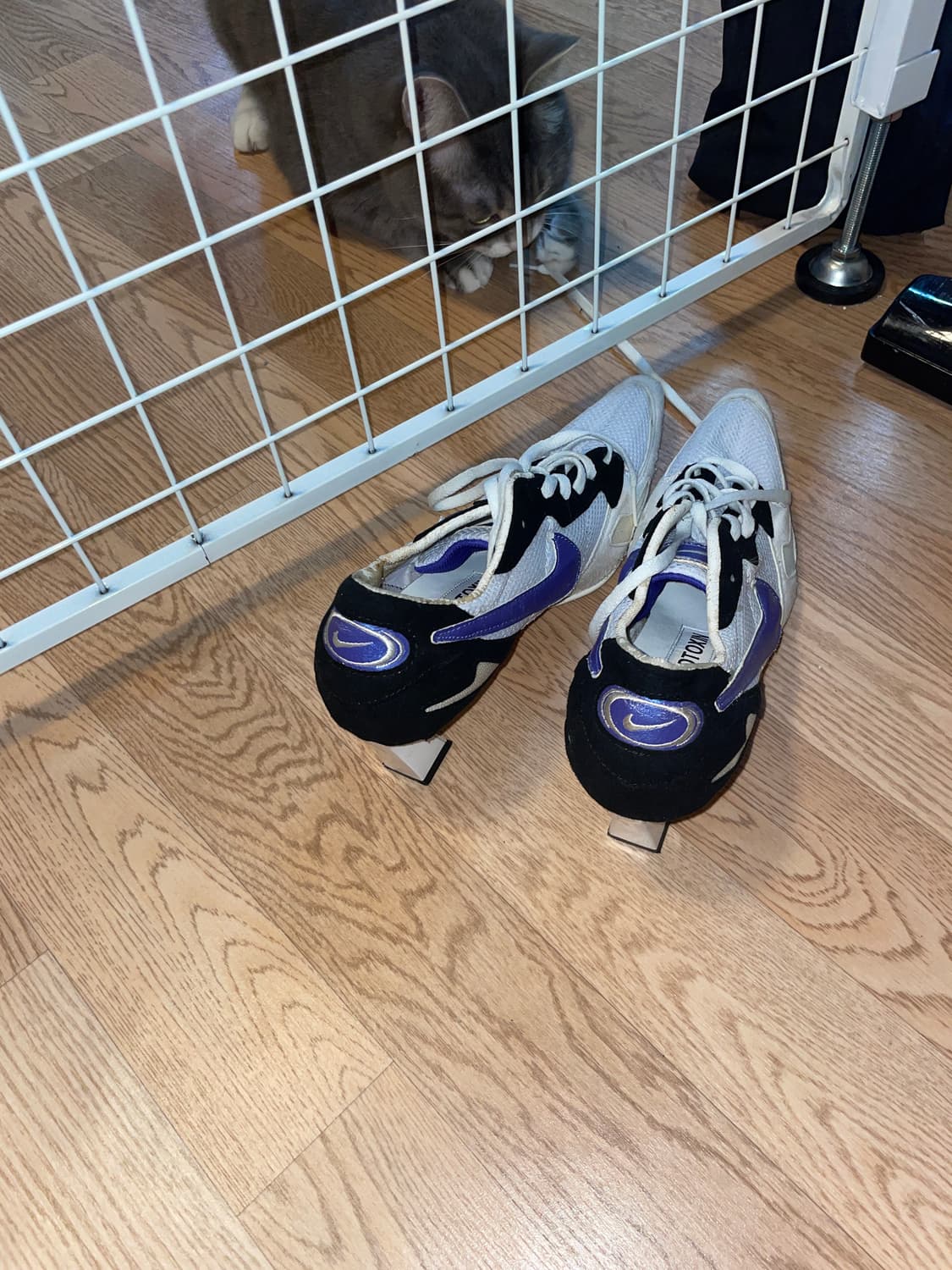 Batrachotoxin 250사이즈 상품이미지4