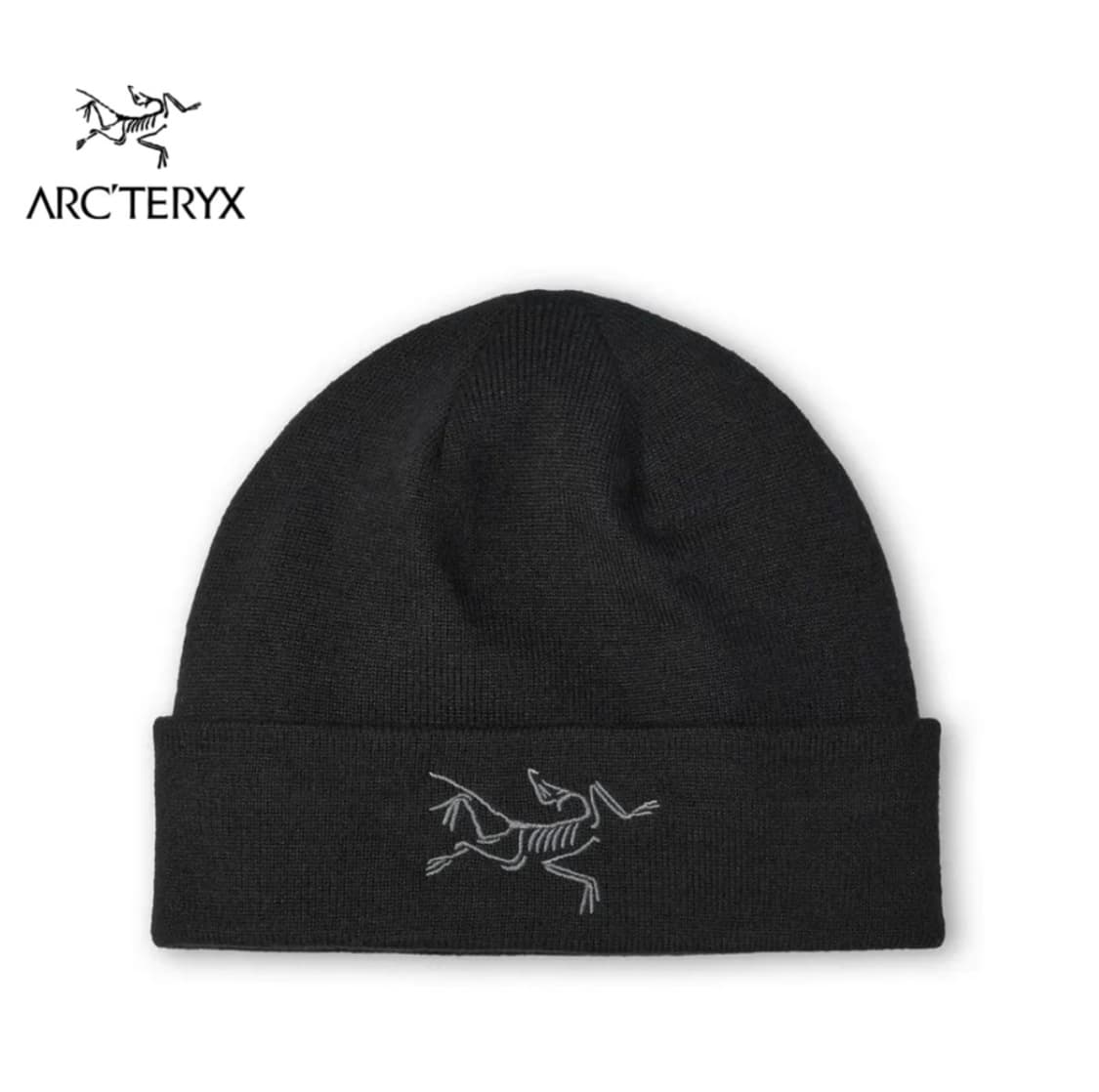 아크테릭스 비니 상품이미지1