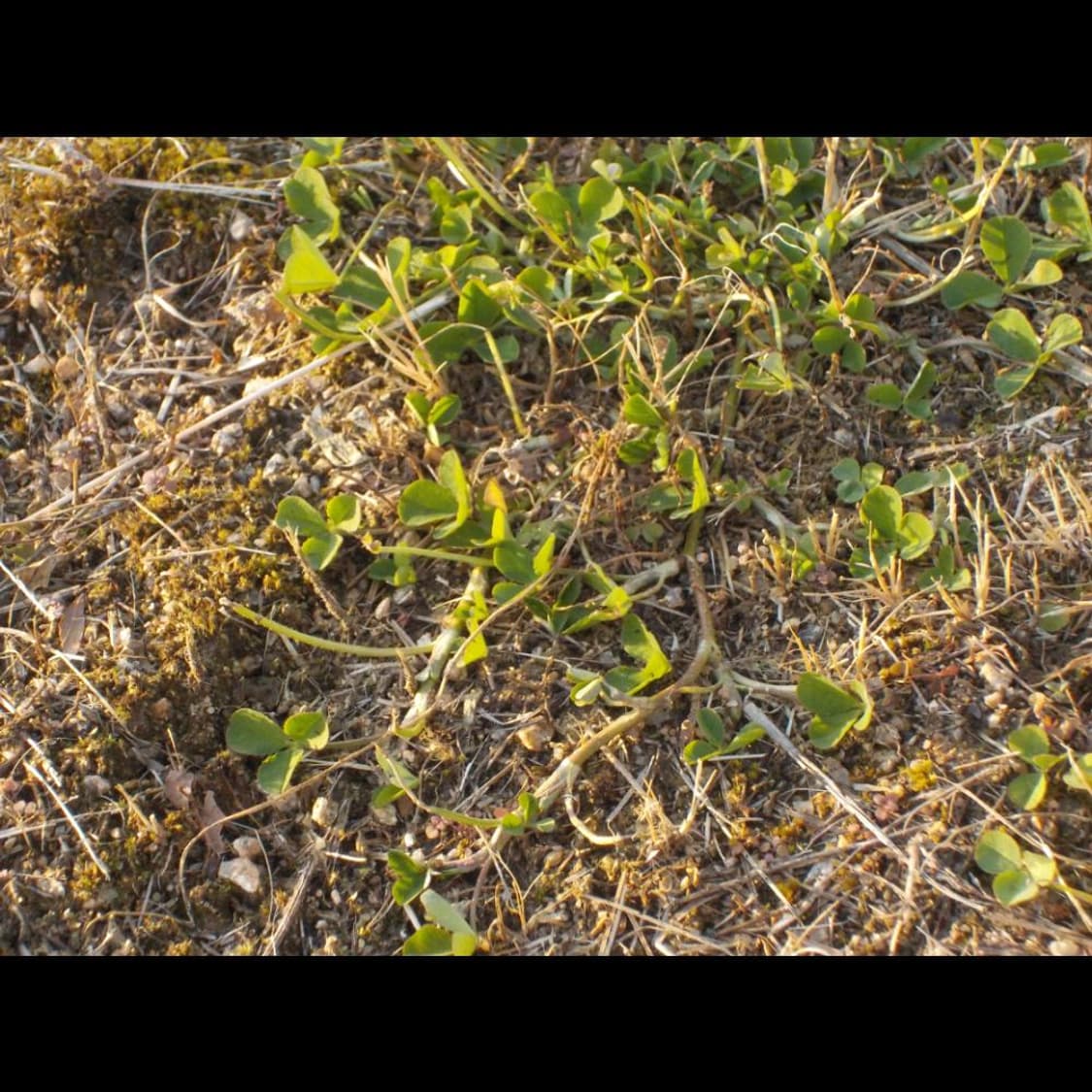 작례⭕️  니콘 쿨픽스 S33 W100 마린 블루 🌊   상품이미지2