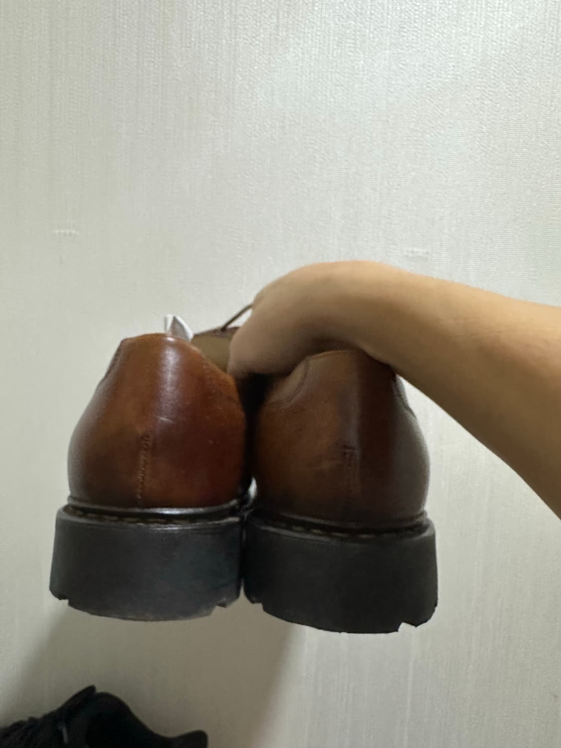 290) 파라부트 샴보드 팝니다 상품이미지6