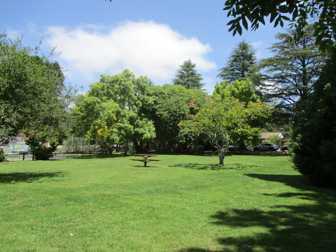 캐논 익서스 185 디카 상품이미지8