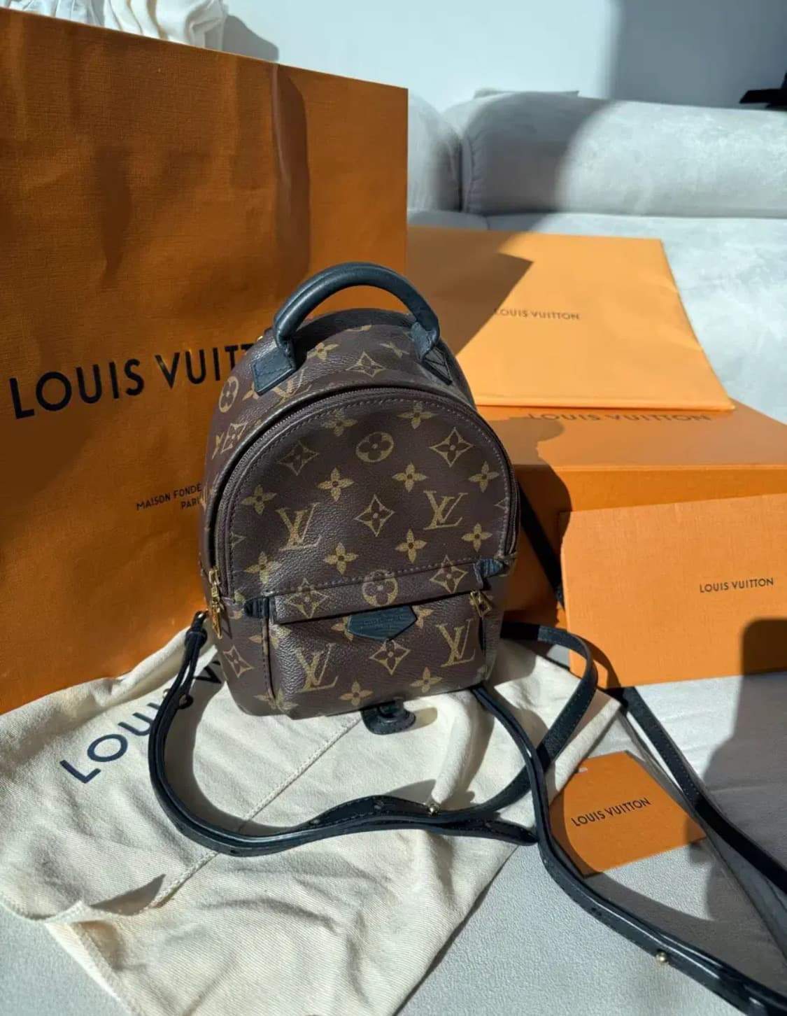 루이비통 팜스프링스 미니 백팩 상품이미지1
