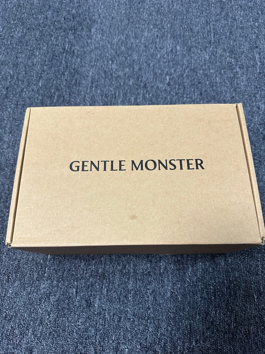 젠틀 몬스터 x 메종 마르지엘라 MM111 톨토이즈쉘 클리어 상품이미지5