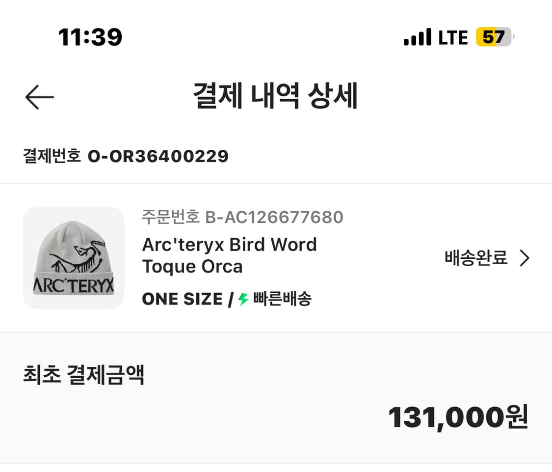 아크테릭스 비니 버드 워드 토크 오르카  상품이미지3