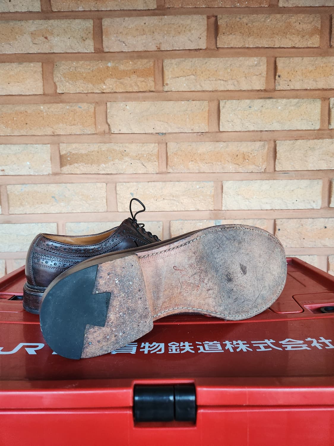 J.crew 롱윙 윙팁 6홀 드레스 슈즈 상품이미지8