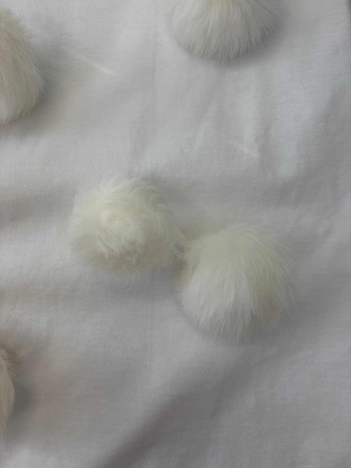 COMME des GARÇONS GIRL AD2024 상품이미지2