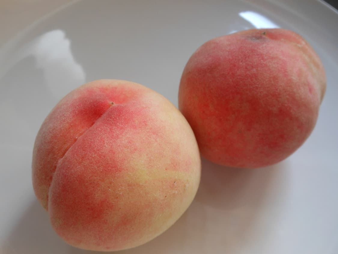 (색감/감성) 니콘 쿨픽스 S6200 디카 디지털카메라 상품이미지8