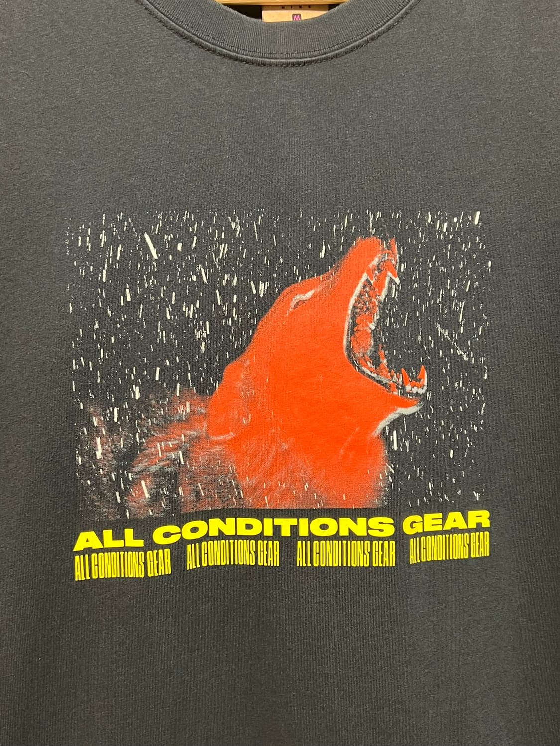 [M] 나이키 ACG 울프 그래픽 반팔 티셔츠 CT4172-010 상품이미지7