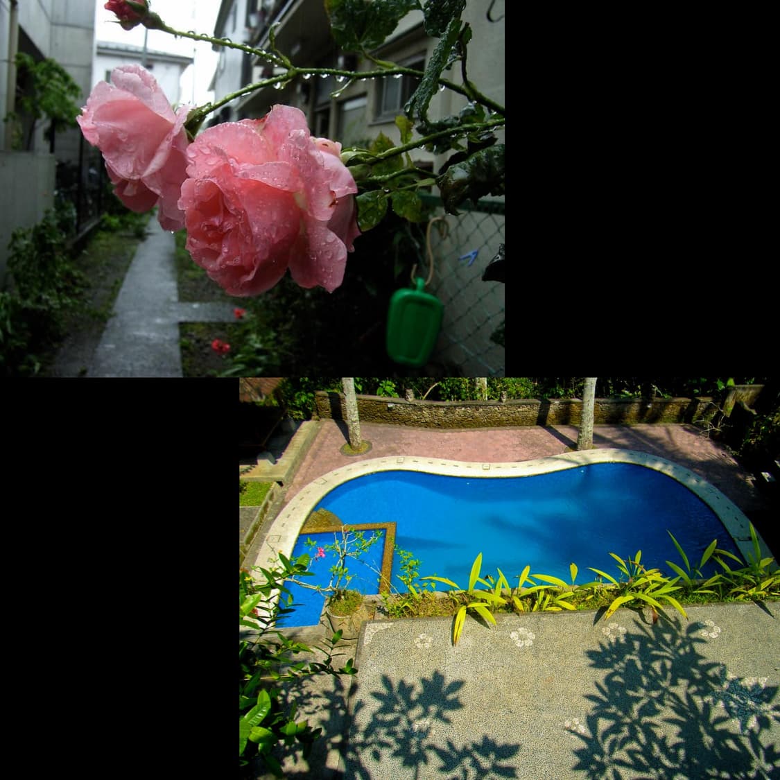 리코 카프리오 r1 (작례 0) 상품이미지3