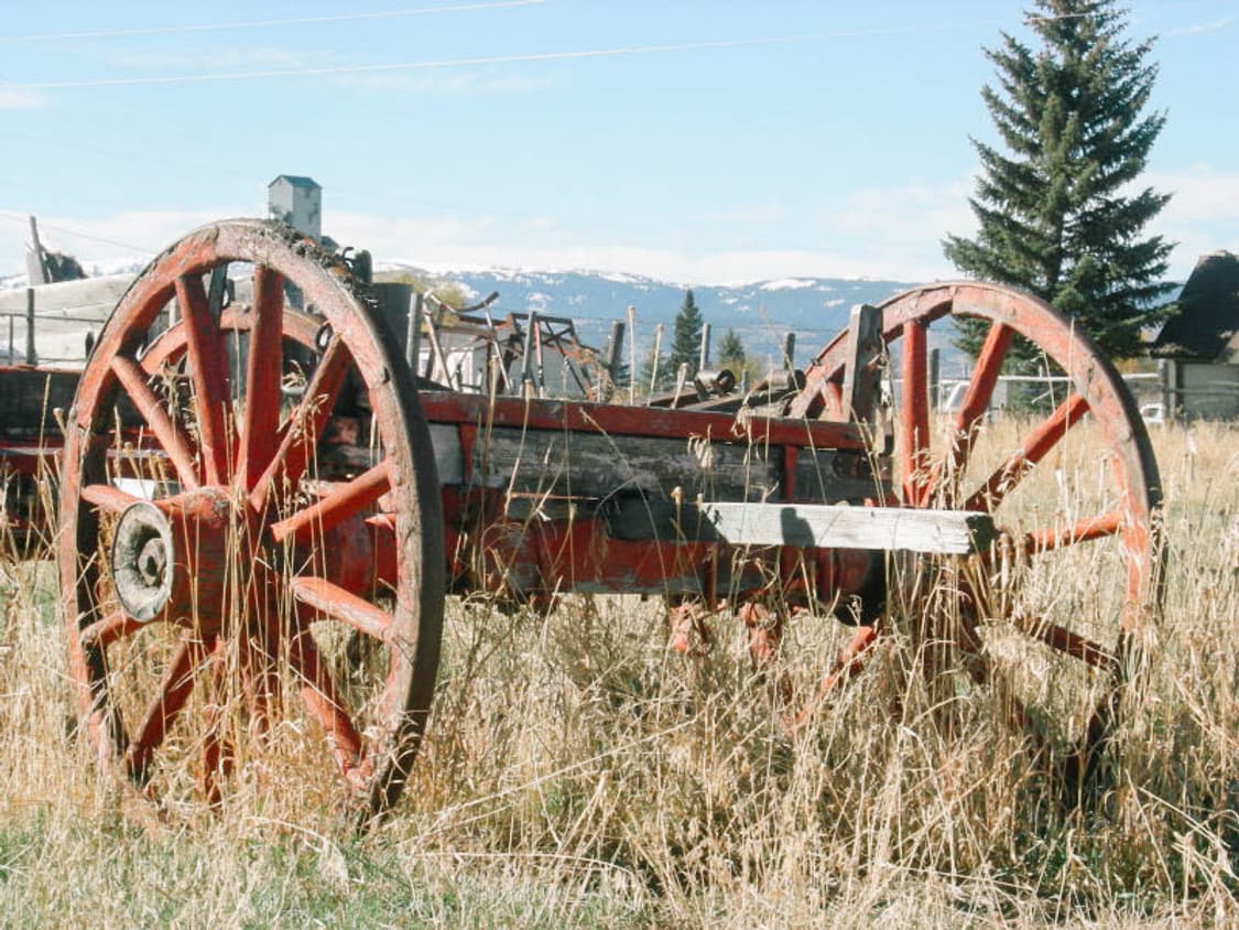 Kodak EasyShare C300 (코닥 이지쉐어 C300) 상품이미지10