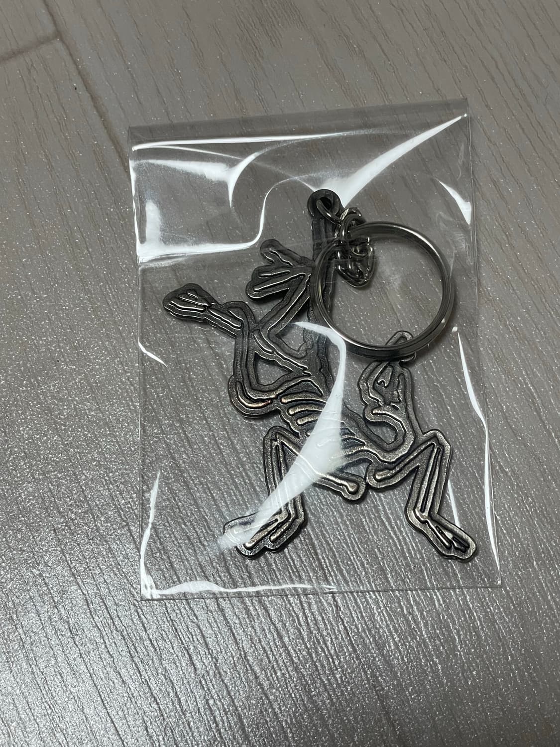 아크테릭스 메탈 키링 팝니다. 상품이미지3