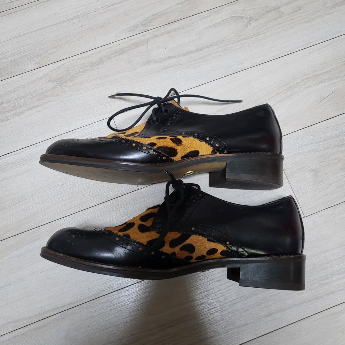 (240) 쇼쉬르라팡 송치 윙팁 레오파드 구드 상품이미지5