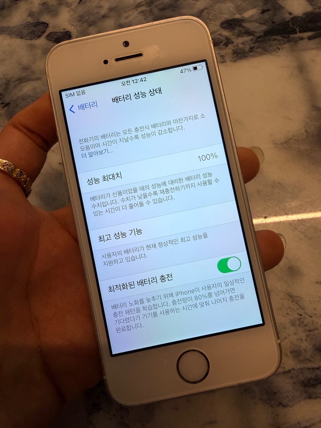 아이폰se 64기가 실버 배터리100 상품이미지6