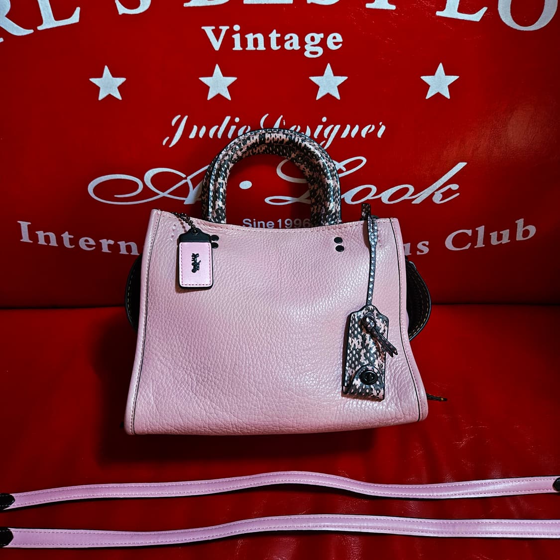 코치(Coach) 로그25 패블레더 위드 컬러블럭 스네이크 토트백 상품이미지2