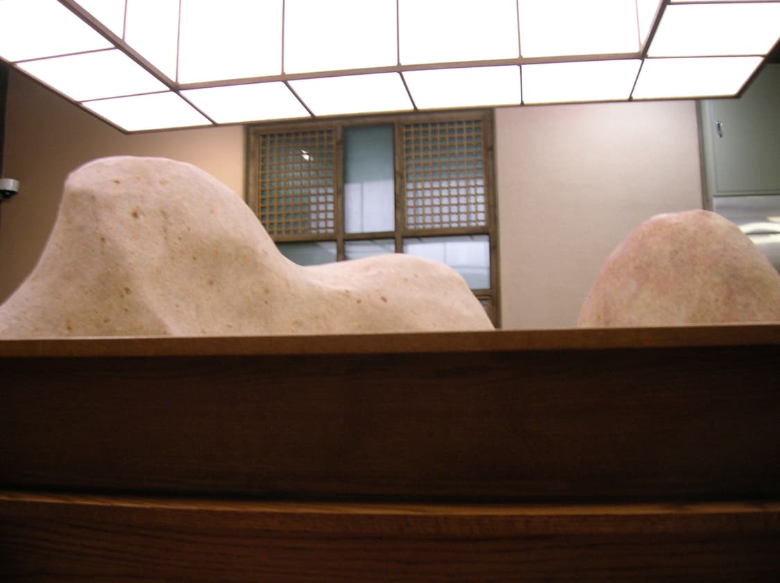 니콘 쿨픽스 4600 작례o 상품이미지6