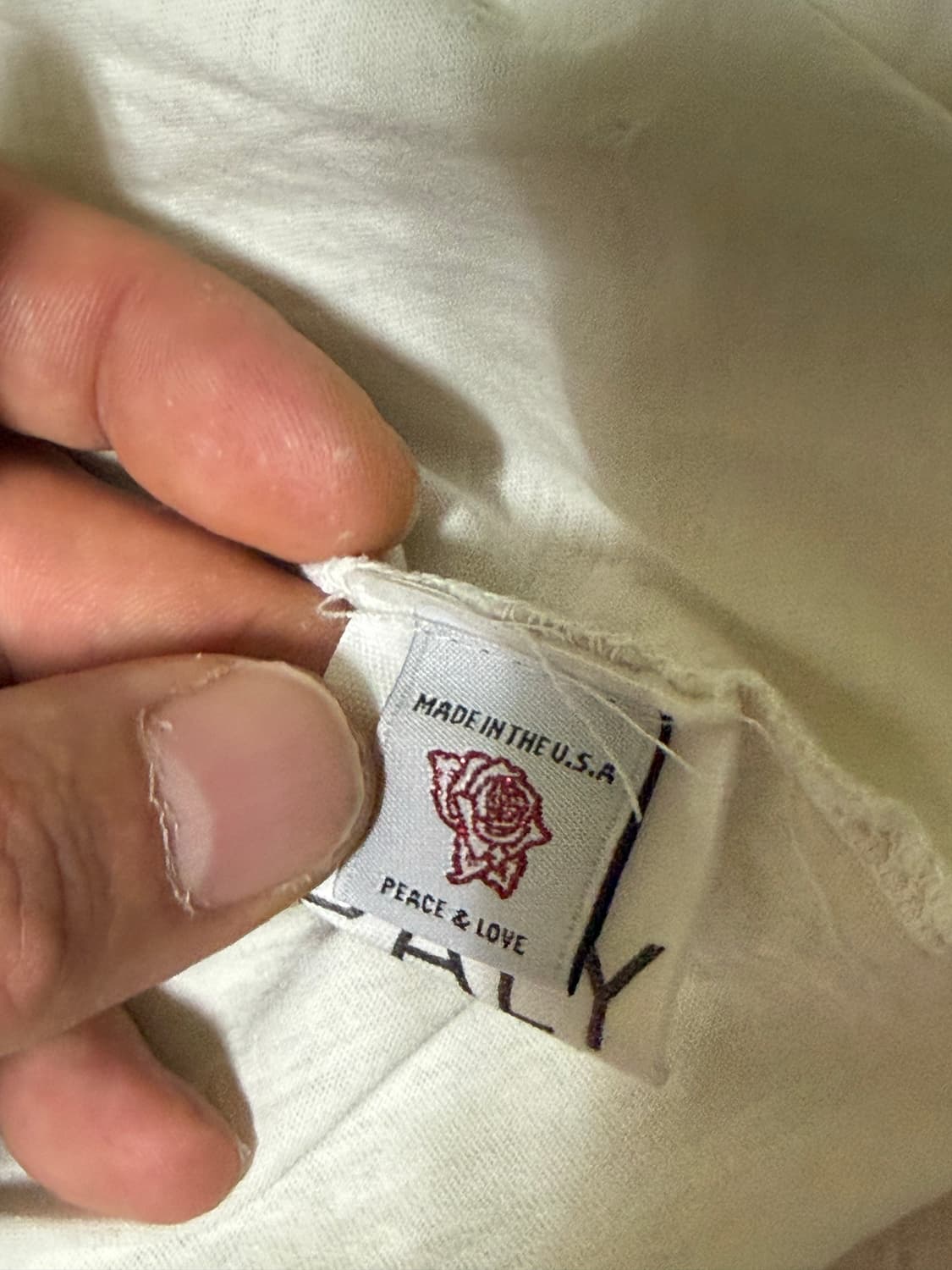 팔리할리우드 티셔츠 상품이미지3