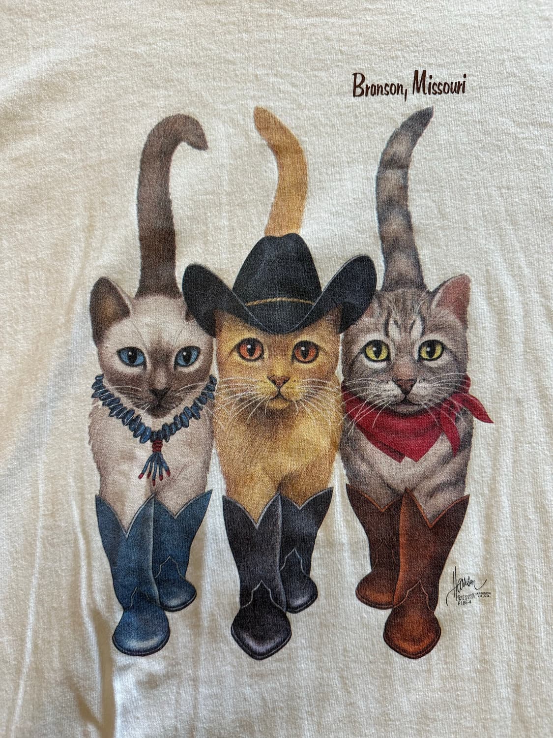  'Cowboy Cats' by Bob Harrison 아트웍티 - L 상품이미지1