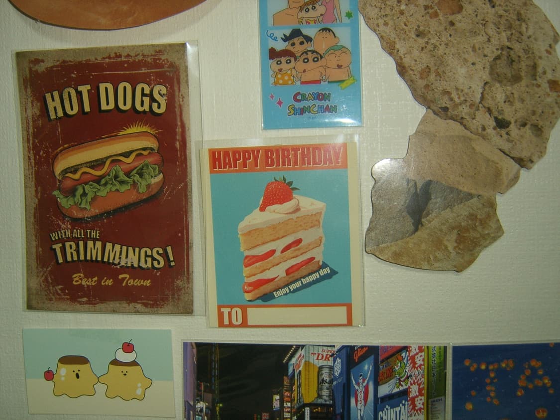 삼성케녹스a5 디카 상품이미지8