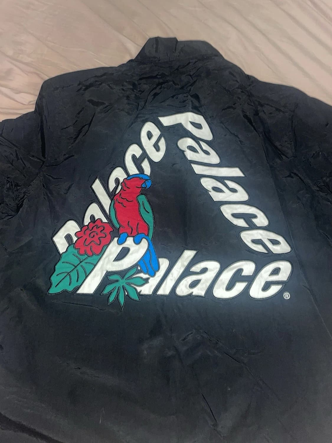 20FW 팔라스 패럿 팔라스-3 코치 자켓 블랙 상품이미지1