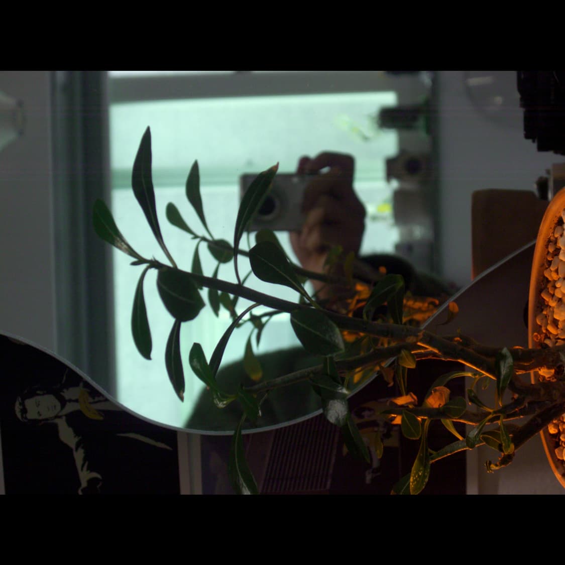 작례⭕️ 카시오 엑슬림 EX-Z1000 상품이미지10