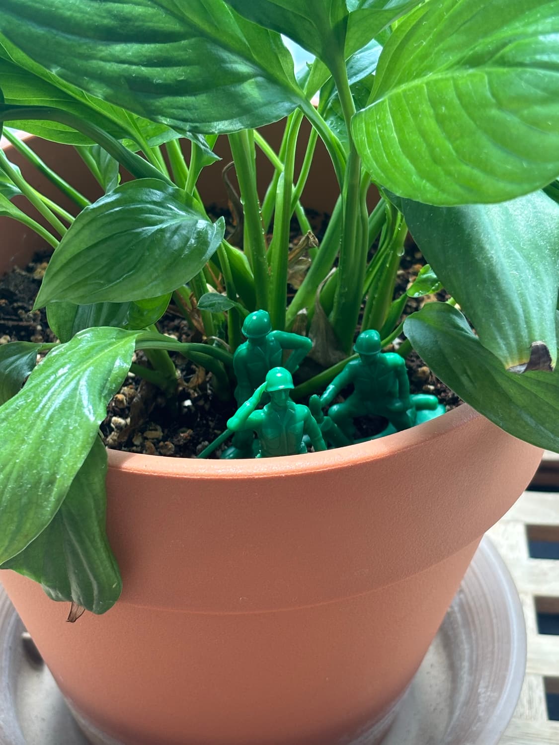 토이스토리 솔져 키링 픽사 정품 랜덤박스🪖 상품이미지3