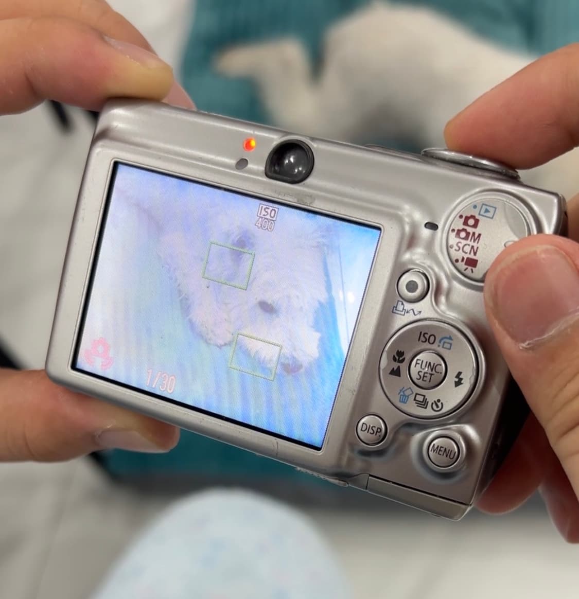 캐논 ixus750 상품이미지5