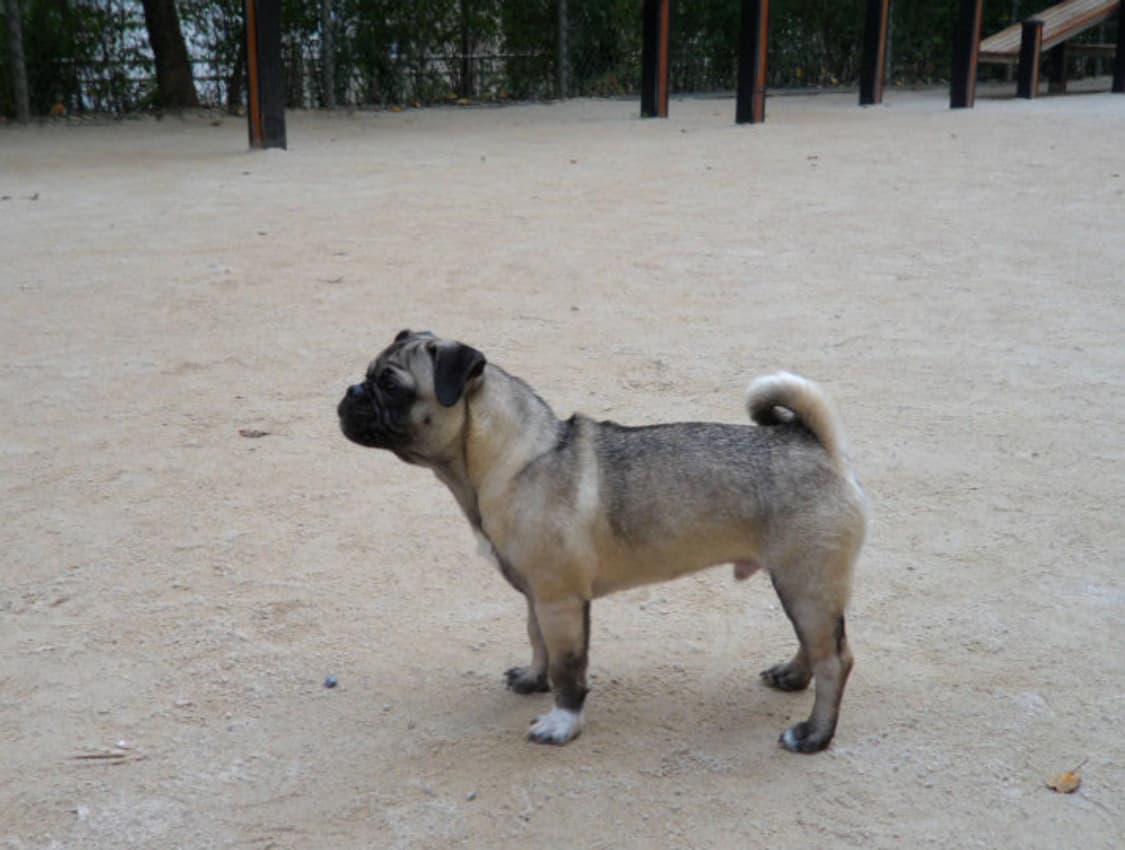 삼성 Samsung VLUU ST550 블랙 상품이미지3