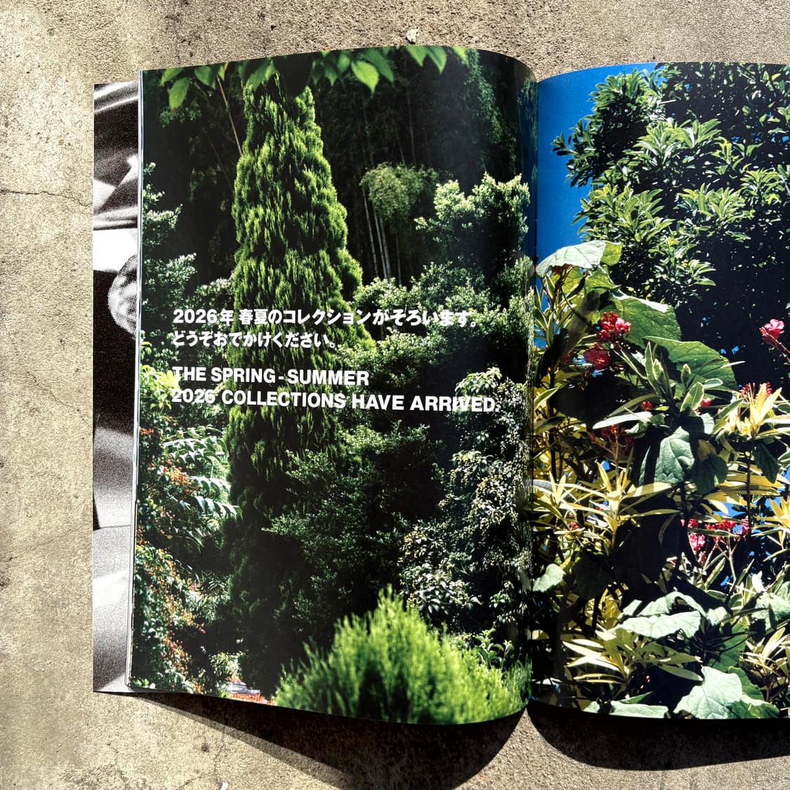 Comme Des Garcons 'Six' DM Book 상품이미지7