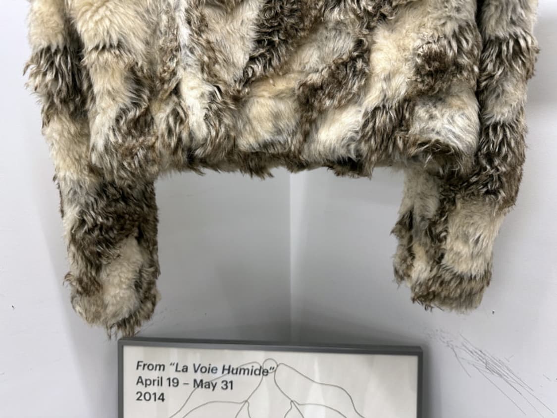 GRAIL (M) 상품이미지6