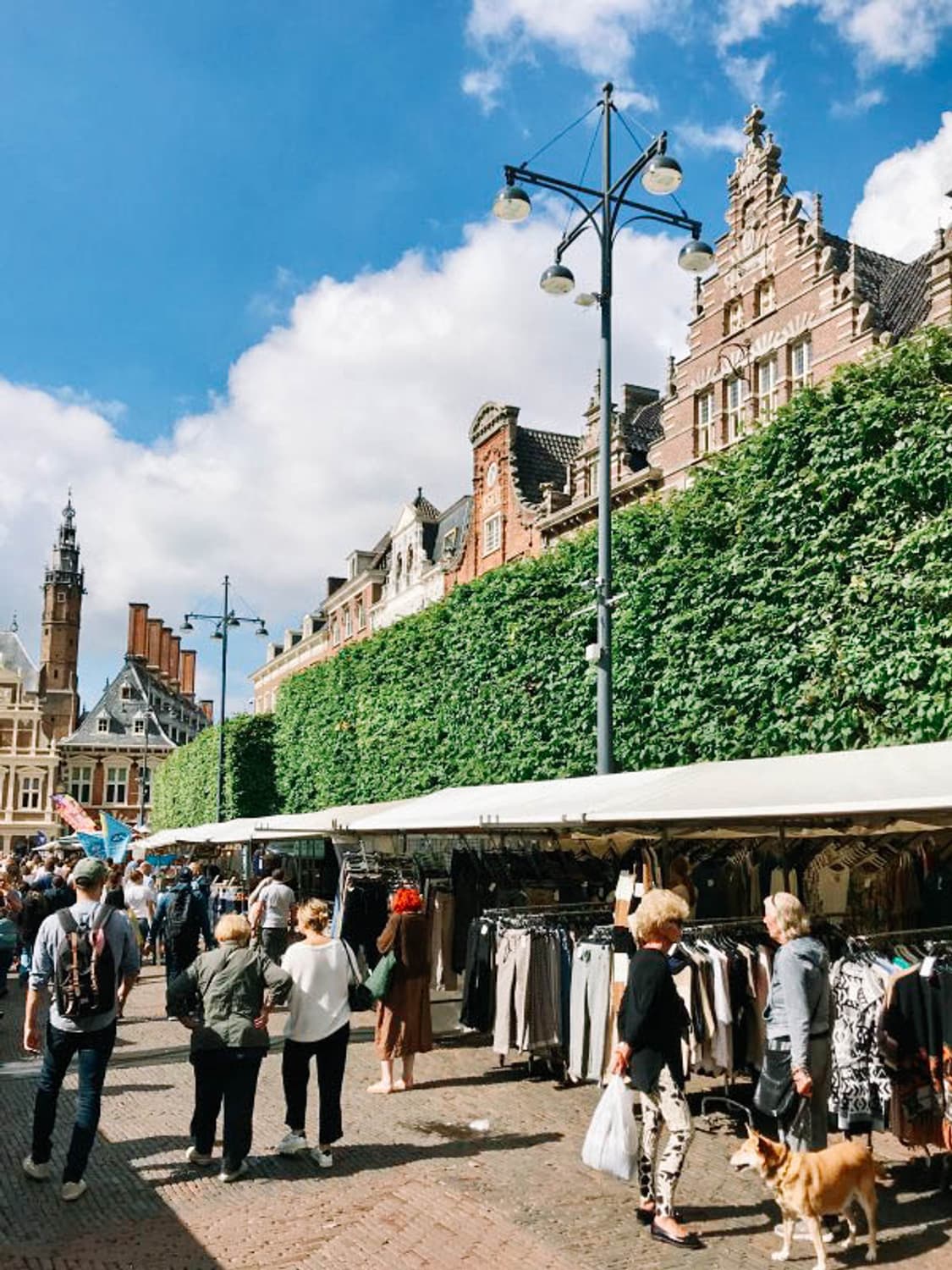 (A급) Olympus VH-520 (올림푸스 VH-520) 상품이미지10