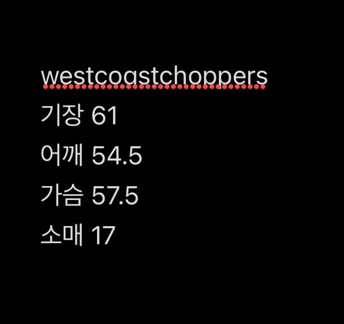 선 페이디드 웨스트 코스트 차퍼스 티셔츠 M 상품이미지6