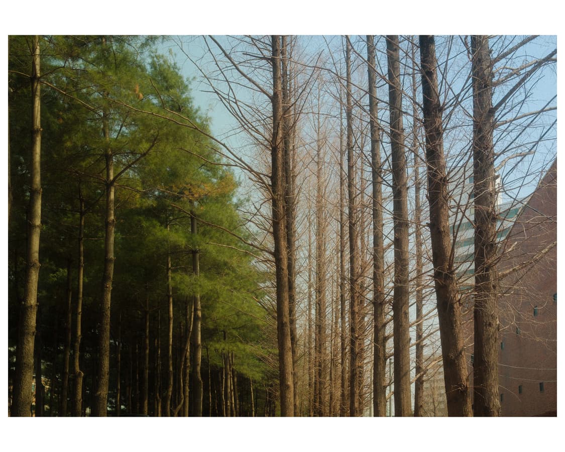후지필름 X100VI 블랙 (Fuji Film X100VI Black) 상품이미지7