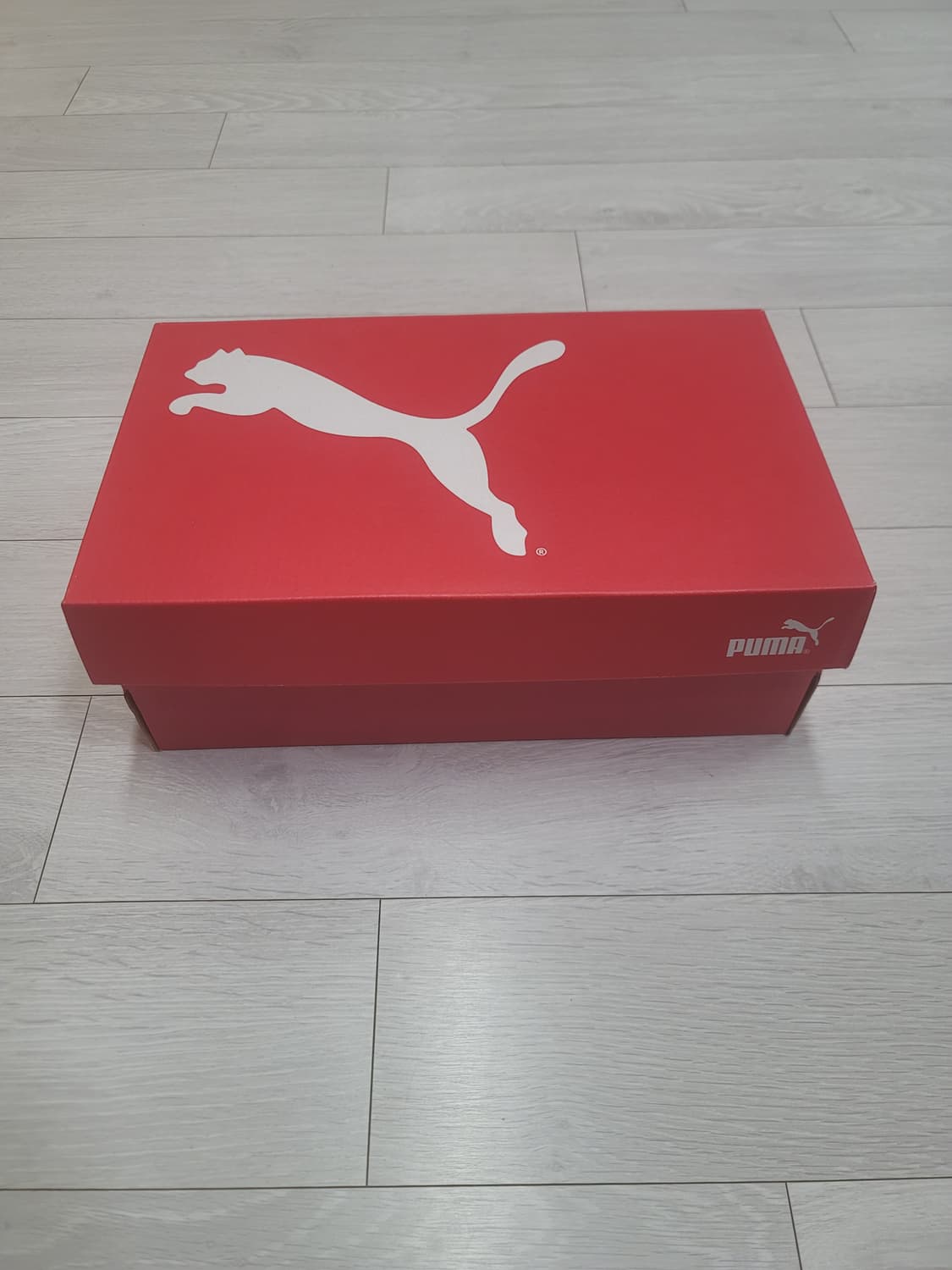 (220)푸마 풋살화 아타칸토 FG/AG Jr.[대전 직거래도 가능] 상품이미지2