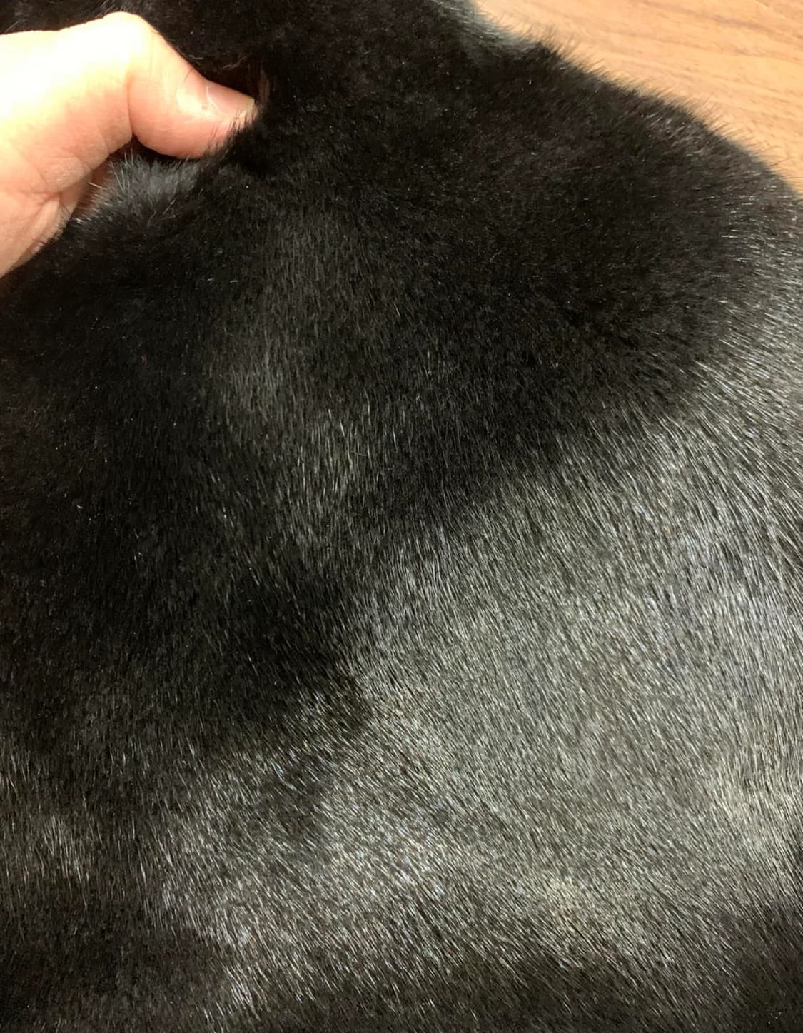 코펜하겐 밍크 fur 봉다리백 새제품 상품이미지2