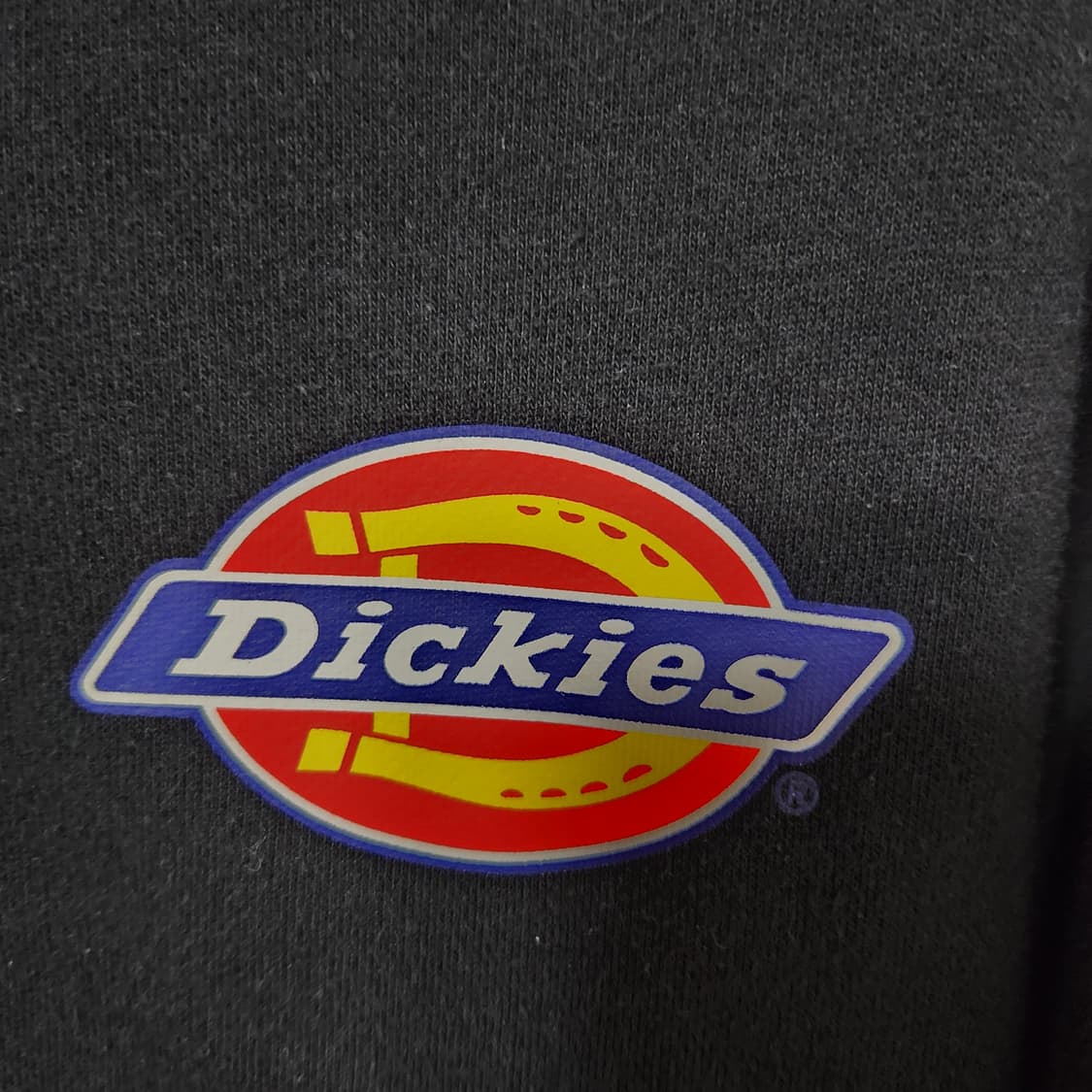 J60 [L] 디키즈 로고 후드 집업
 상품이미지2