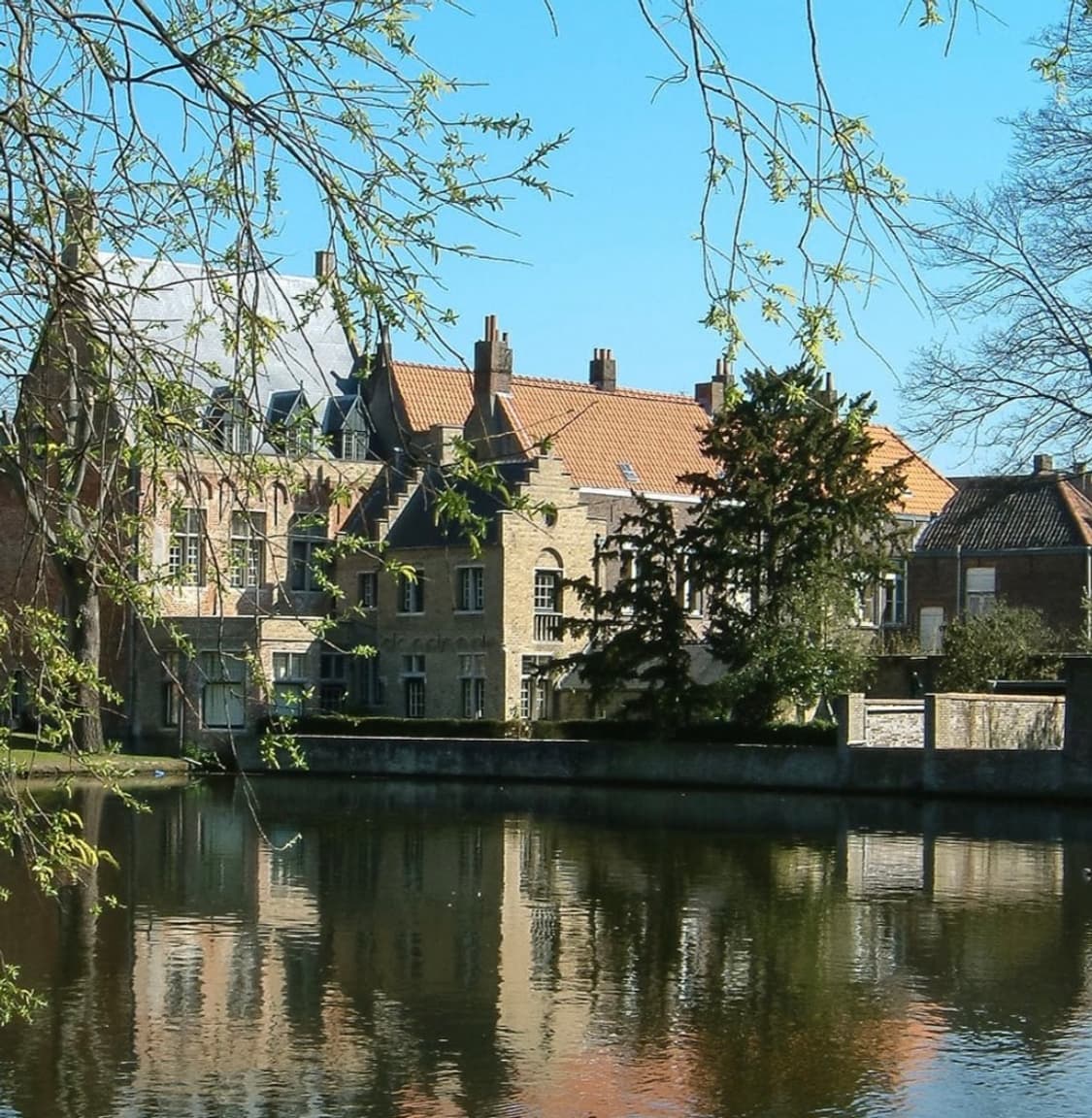 후지필름 파인픽스 F601 Zoom 빈티지 디카 상품이미지7