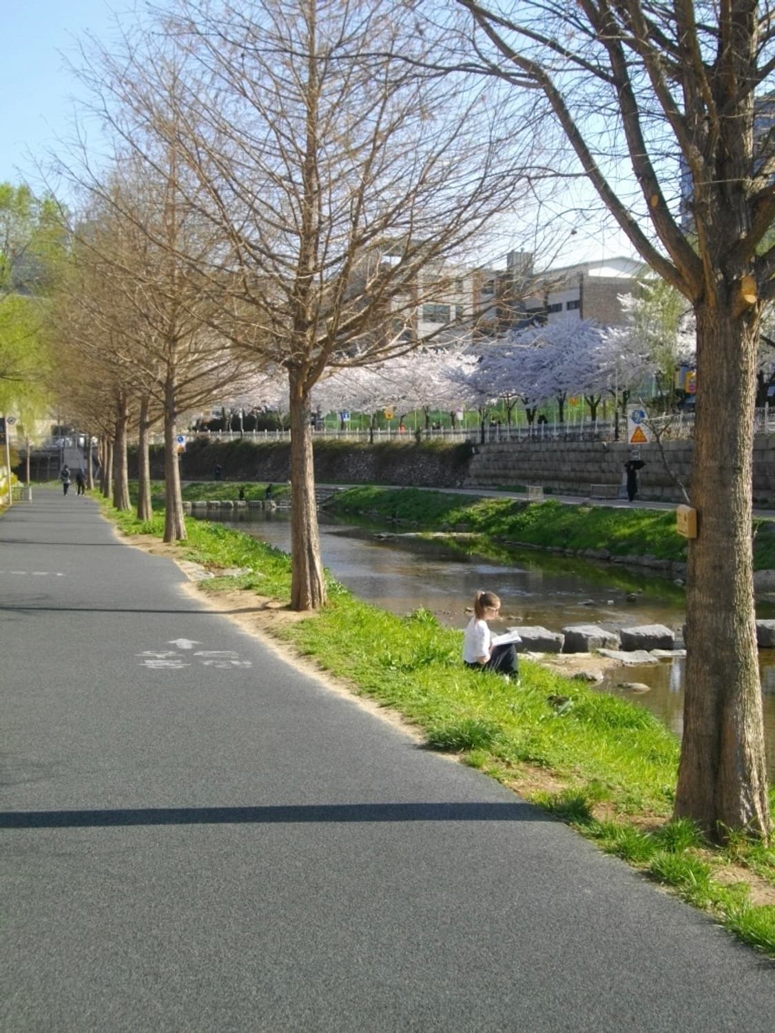 펜탁스 Optio E 60 상품이미지10