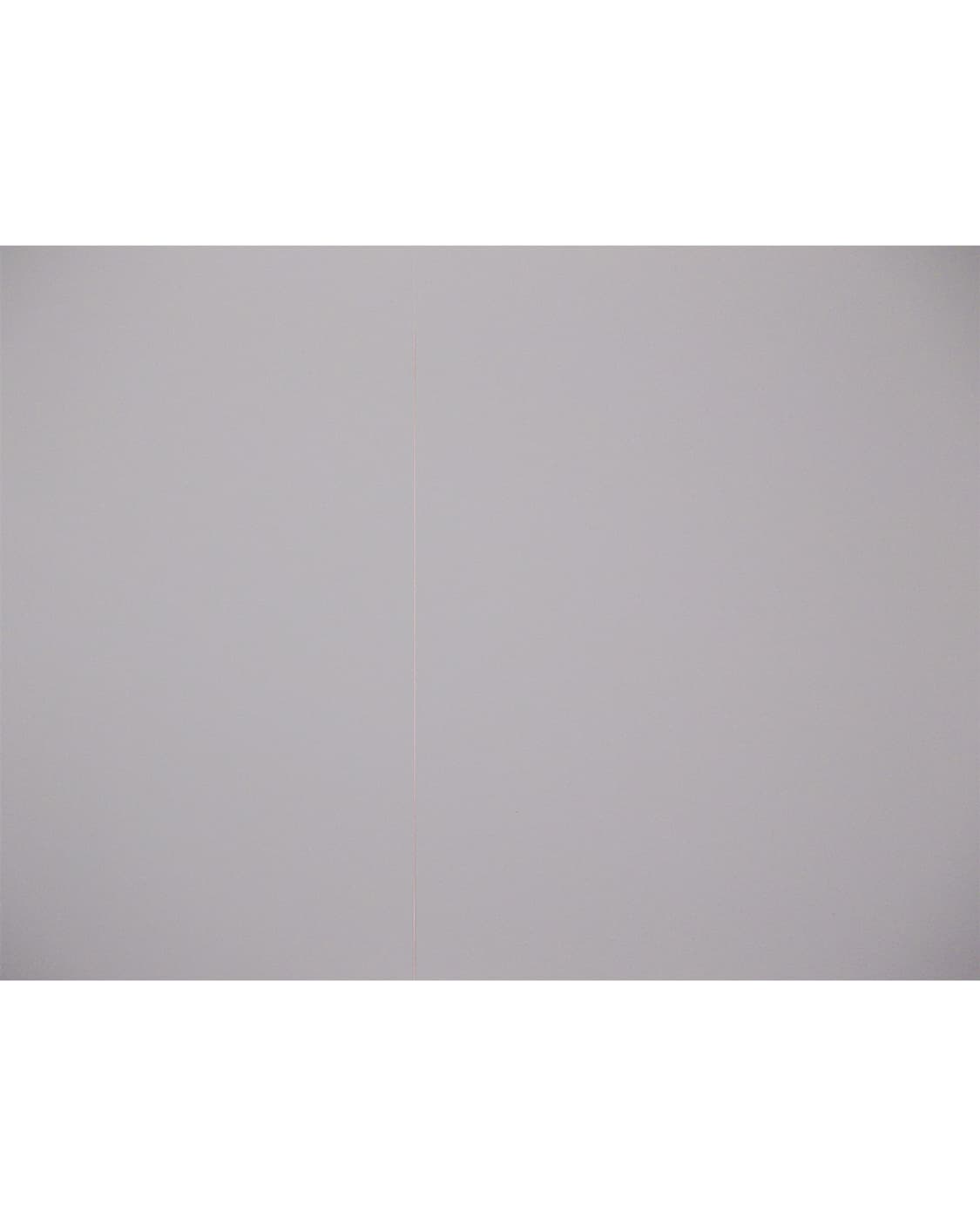 니콘 쿨픽스 S30 (White) 상품이미지4