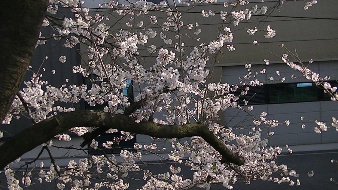 jvc 캠코더 hm450 상품이미지5