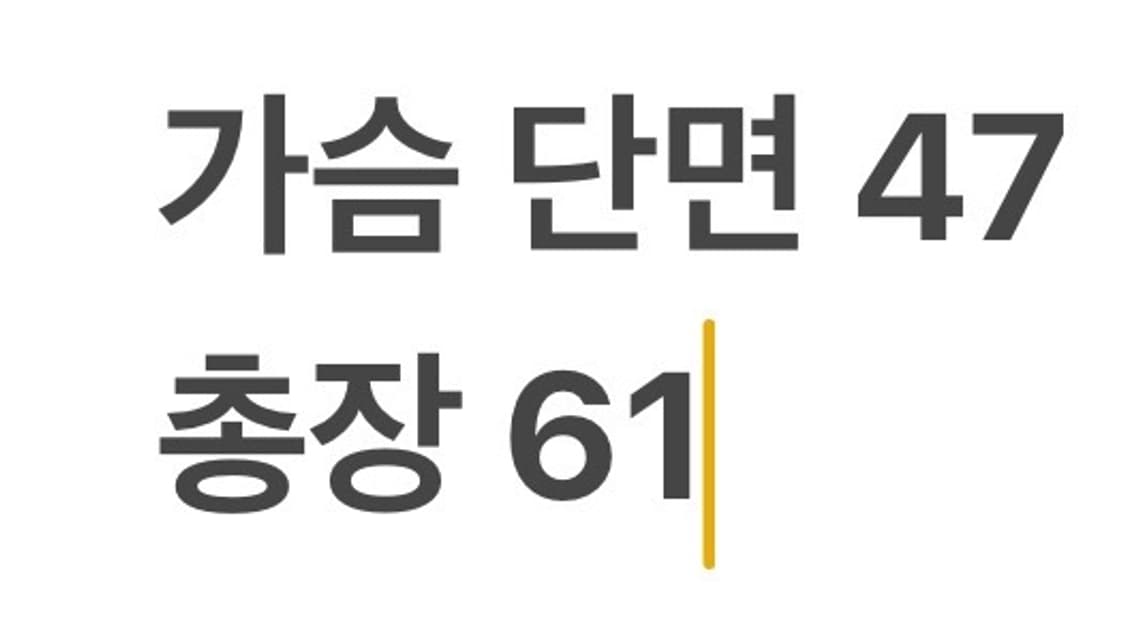 [정품/95] 아디다스 파이어버드 스트라이프 나일론 바람막이 자켓 b15 상품이미지9