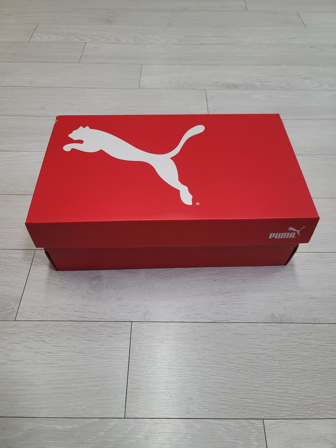 (230)푸마 풋살화 아타칸토 FG/AG Jr.[대전 직거래도 가능] 상품이미지2