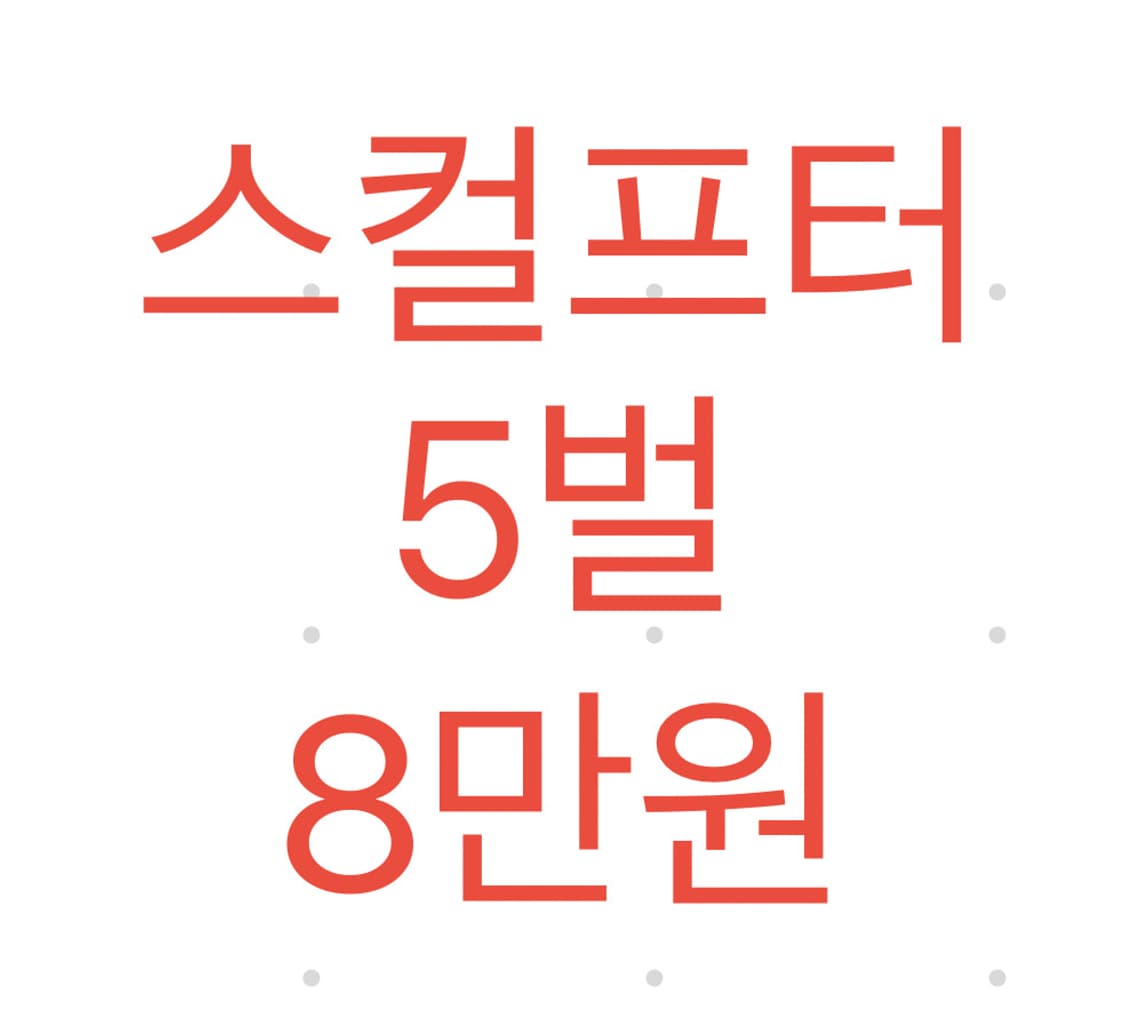 스컬프터 5벌 일괄 8만원 상품이미지1