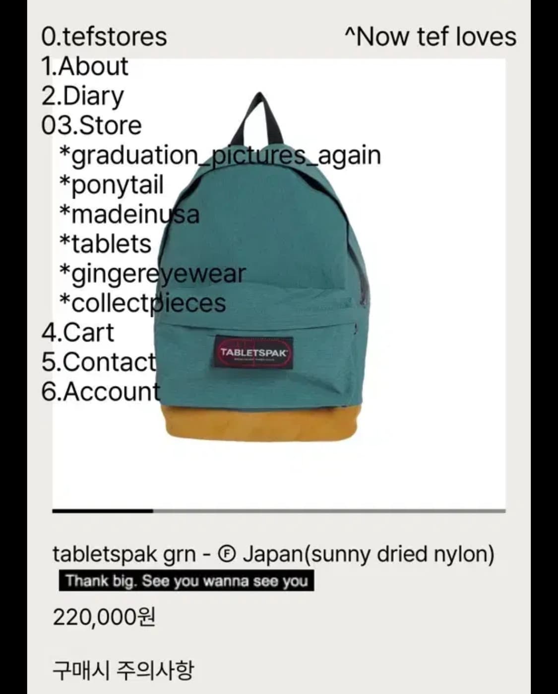 tabletspak grn - © Japan 백팩 상품이미지1