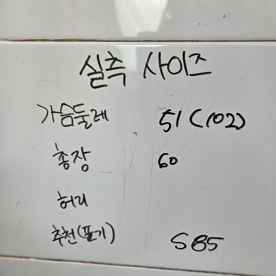 55 노스페이스 오리털 패딩 조끼  상품이미지2