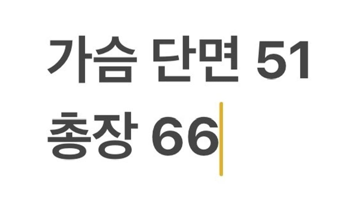 [정품] 세인트제임스 엘보우패치 긴팔티셔츠 그레이 b17 상품이미지7