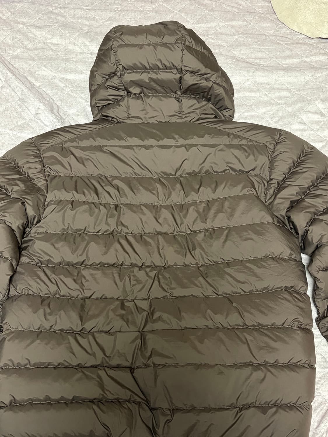 무탠다드 시티 레저 후디드 라이트 다운 재킷 경량패딩 L (브라운) 상품이미지3