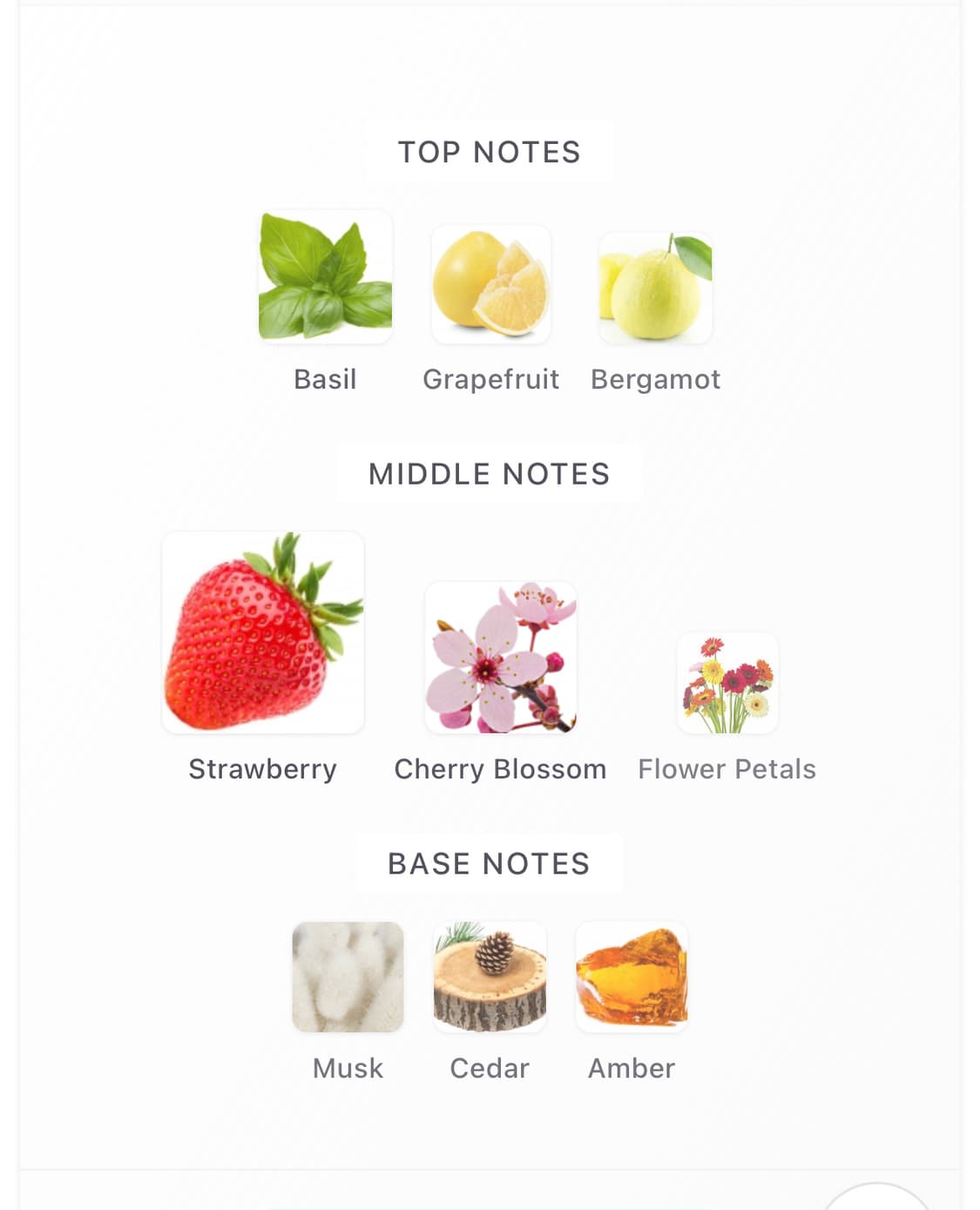 [백화점국문]록시땅 한정향수 세리지에아무르edt오드뚜왈렛 체리블라썸 딸기 상품이미지5